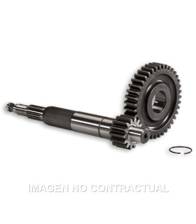 Desarrollo Primario Largo Gilera Runner