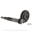 Desarrollo Primario Largo Gilera Runner