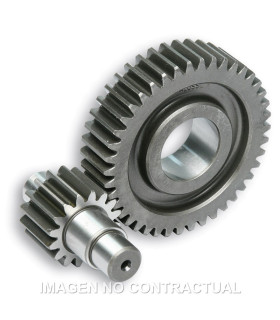 Desarrollo Secundario Largo C/Jaula D.17mm Zip Fast Rider
