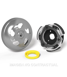 Embrague Maxi Fly System Malossi Honda Forza 125 ABS