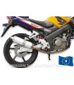 Escape Maxi Wild Lion Homologado Honda CBR 125