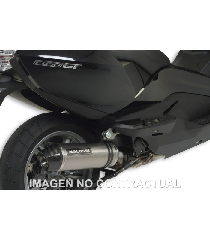 Silencioso Malossi Maxi WIld Lion BMW C 650 GT