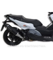 Silencioso Malossi Maxi Wild Lion BMW C 650