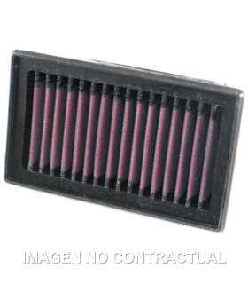 Filtro aire K&N BMW F 800 S/R