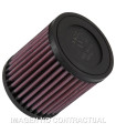 Filtro aire K&N Kawasaki KVF 300 Brute Force