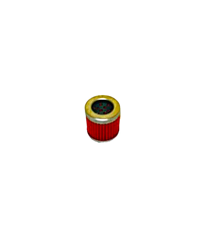 Filtro aceite SGR Piaggio Liberty