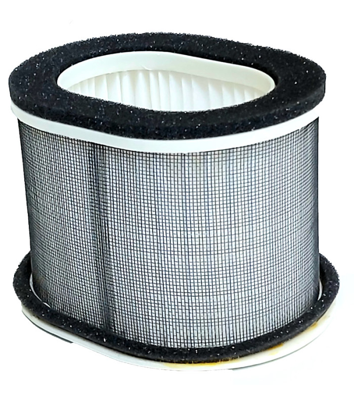 Filtro de aire 3GM-14451-00