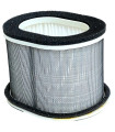 Filtro de aire 3GM-14451-00