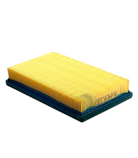Filtro Aire Ligier F.3099700