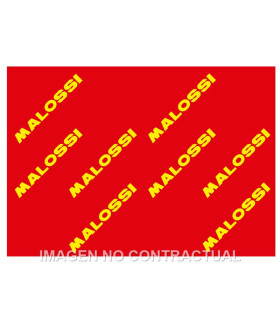 Hoja elemento filtrante Malossi Red Sponge