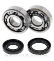 Kit de rodamientos cigüeñal All Balls 24-1025