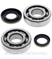 Kit de rodamientos cigüeñal All Balls 24-1046