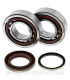 Kit de rodamientos cigüeñal All Balls 24-1105