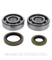 Kit de rodamientos cigüeñal All Balls 24-1119