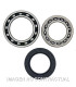 Kit de rodamientos rueda All Balls 25-1010