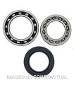 Kit de rodamientos rueda All Balls 25-1010