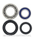 Kit de rodamientos rueda All Balls 25-1012