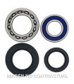 Kit de rodamientos rueda All Balls 25-1014