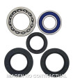 Kit de rodamientos rueda All Balls 25-1015