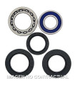 Kit de rodamientos rueda All Balls 25-1017