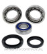 Kit de rodamientos rueda All Balls 25-1018