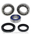 Kit de rodamientos rueda All Balls 25-1018