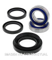 Kit de rodamientos rueda All Balls 25-1029