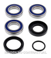 Kit de rodamientos rueda All Balls 25-1034
