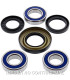 Kit de rodamientos rueda All Balls 25-1037