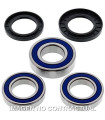 Kit de rodamientos rueda All Balls 25-1039