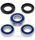 Kit de rodamientos rueda All Balls 25-1066