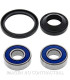 Kit de rodamientos rueda All Balls 25-1069