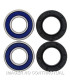 Kit de rodamientos rueda All Balls 25-1070