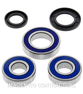 Kit de rodamientos rueda All Balls 25-1110