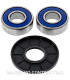 Kit de rodamientos rueda All Balls 25-1119