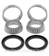 Kit de rodamientos rueda All Balls 25-1151