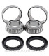 Kit de rodamientos rueda All Balls 25-1152