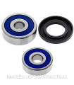 Kit de rodamientos rueda All Balls 25-1165