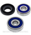 Kit de rodamientos rueda All Balls 25-1166