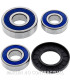 Kit de rodamientos rueda All Balls 25-1270