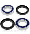 Kit de rodamientos rueda All Balls 25-1313