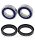 Kit de rodamientos rueda All Balls 25-1363