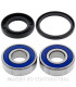Kit de rodamientos rueda All Balls 25-1380