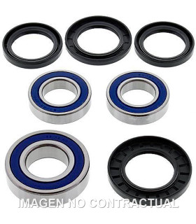 Kit de rodamientos rueda All Balls 25-1392