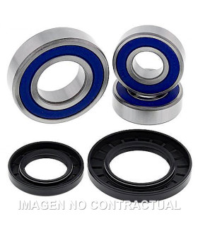 Kit de rodamientos rueda All Balls 25-1393