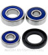 Kit de rodamientos rueda All Balls 25-1400