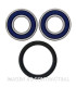 Kit de rodamientos rueda All Balls 25-1417