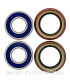 Kit de rodamientos rueda All Balls 25-1431