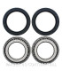 Kit de rodamientos rueda All Balls 25-1432