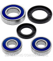 Kit de rodamientos rueda All Balls 25-1449